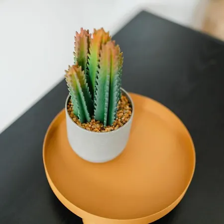 Mooi 1 Comfortable * Norderney